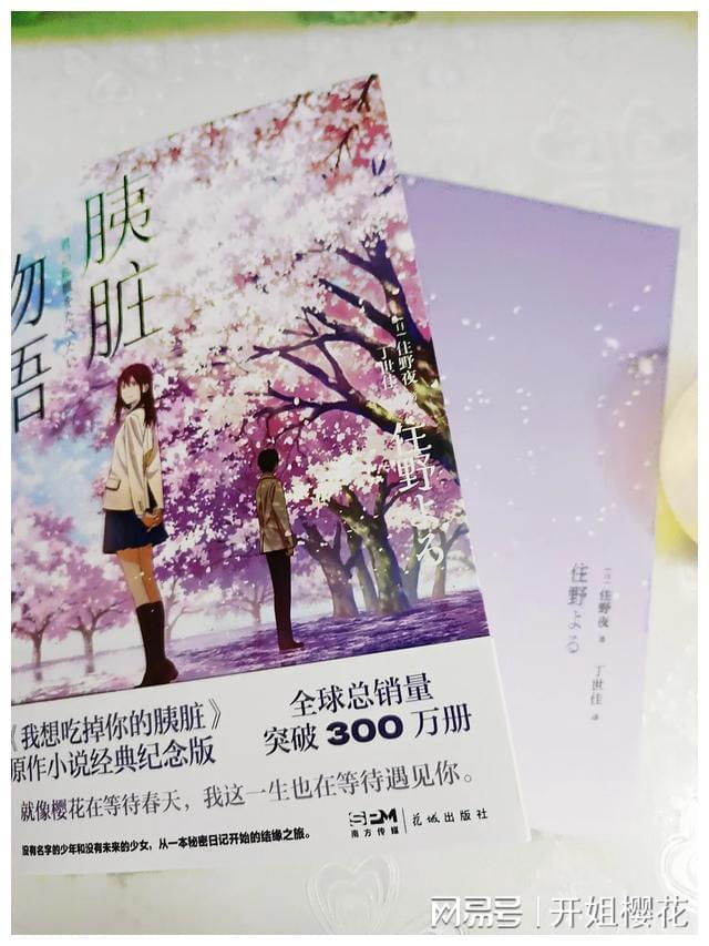 春雨直播app